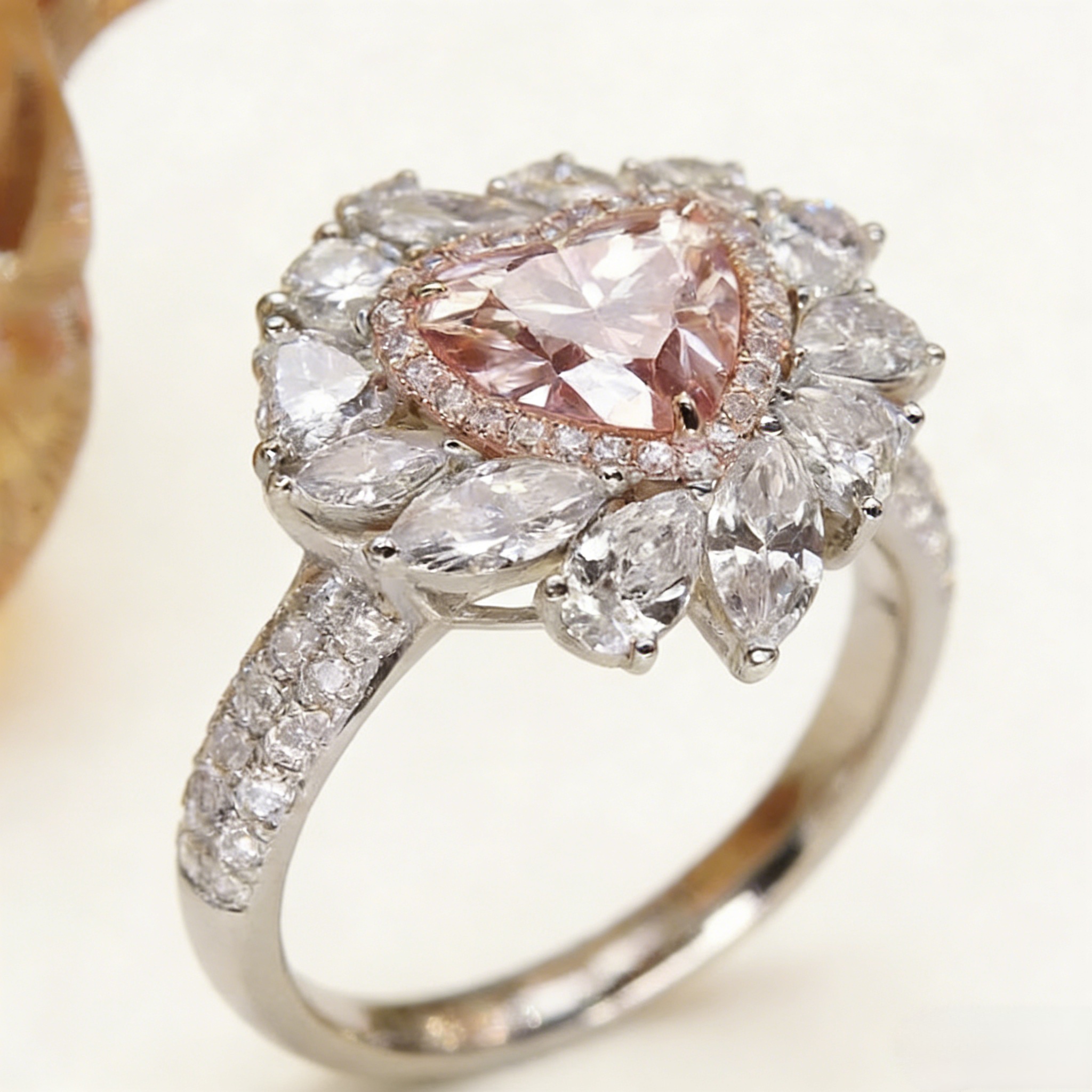 微信图片_20260129171228